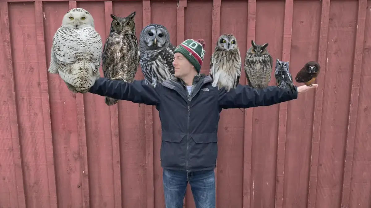 A man stands with arms outstretched in front of a red wooden fence, with seven different owl species perched on his arms and…