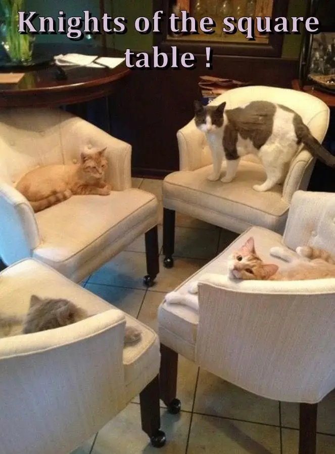 Who took the table? The mystery unfolds!