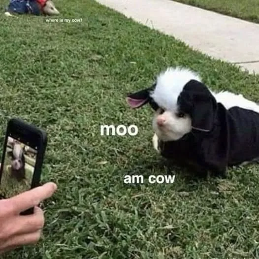 A small black-and-white puppy wearing a cow costume lies on grass while a person holds a phone taking its picture. Text…