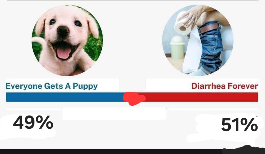A horizontal bar chart shows two options: 'Everyone Gets A Puppy' with a 49% blue bar and 'Diarrhea Forever' with a 51% red…