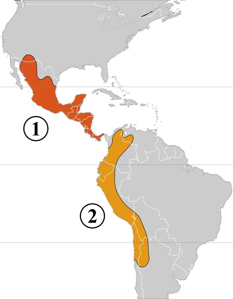 A map of the Americas with Mexico and Central America highlighted in orange and labeled with a white circle containing the…