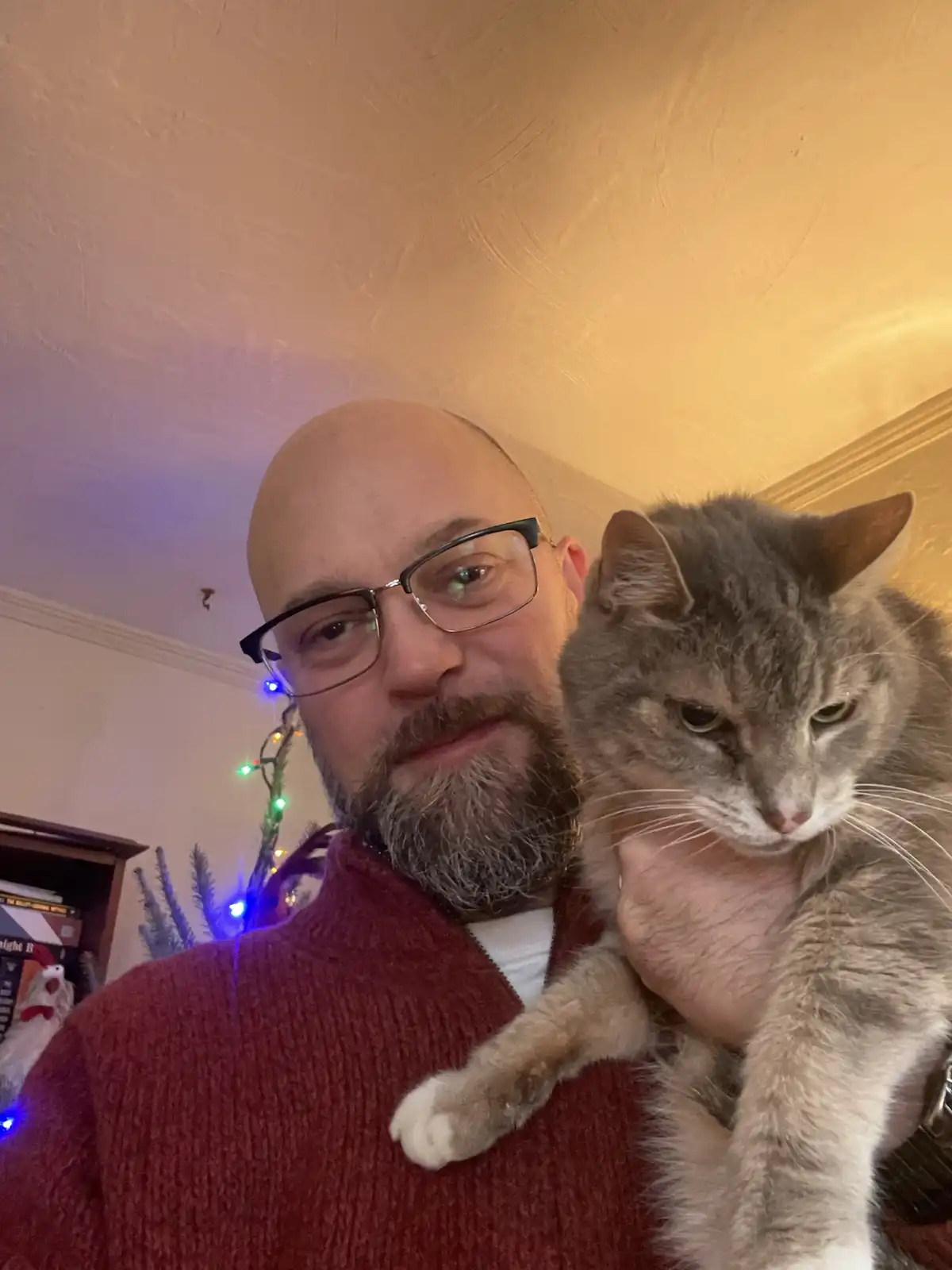 A bald man with glasses and a beard, wearing a red sweater, holds a gray tabby cat in his arms. The cat has a distinctly…