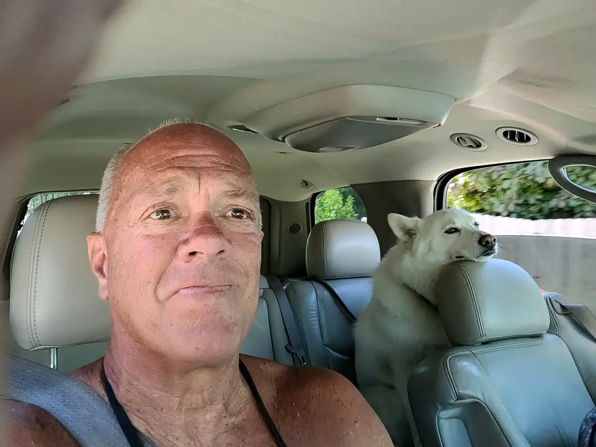A man in the driver's seat of a car takes a selfie, looking slightly sweaty and amused, while a white dog sits in the…