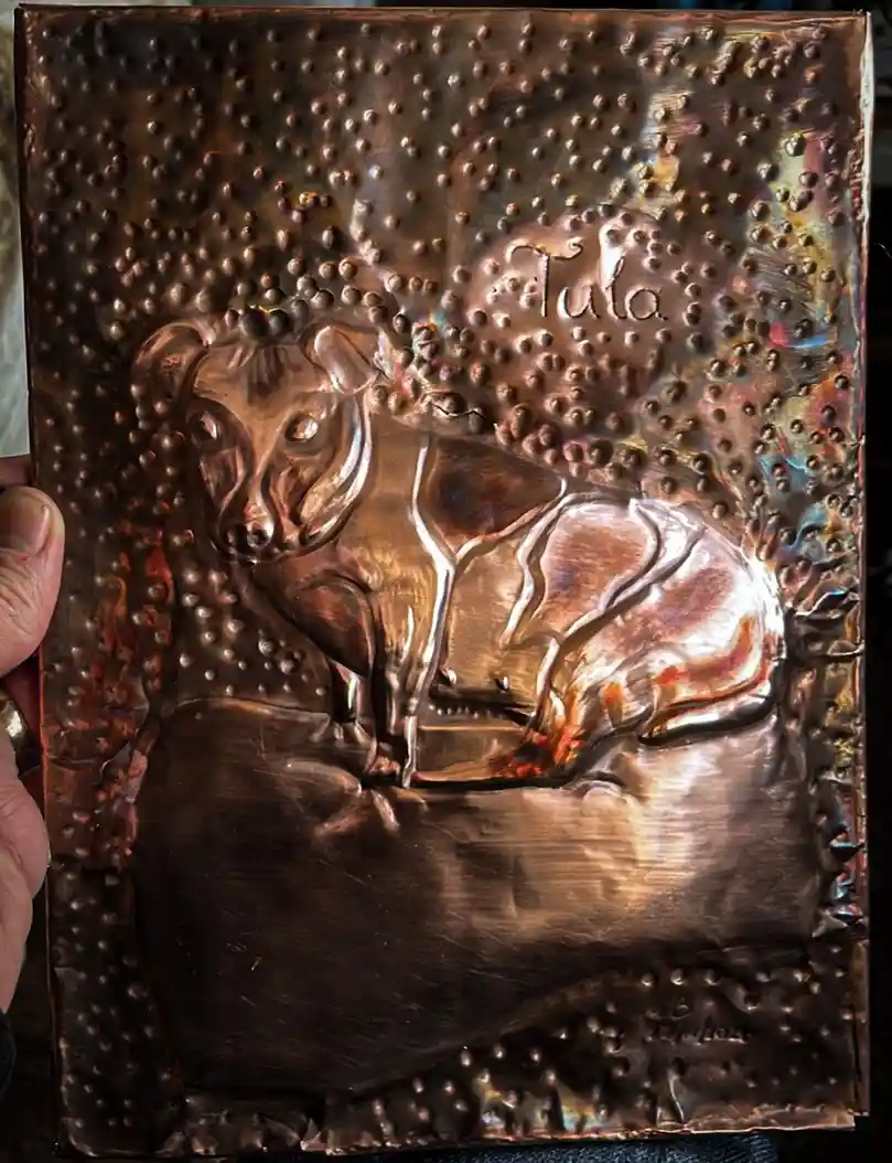 Tula Shines in Copper