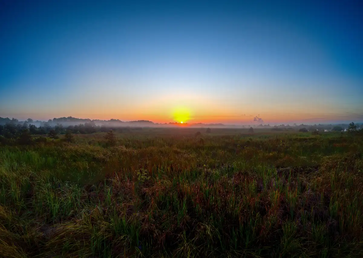 A serene sunrise over a misty field of tall grass, with the sun low on the horizon casting orange and blue hues. Overlaid…
