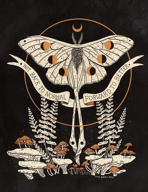 An illustrated artwork features a large, stylized moth with crescent moon patterns on its wings, set against a dark…