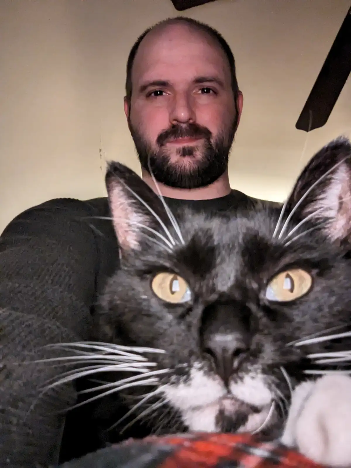 A man with a beard and dark shirt is holding a black-and-white cat with striking yellow eyes, which is positioned in the…