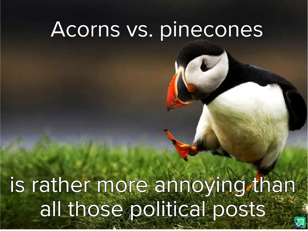 A puffin stands on grass, looking down at its foot with a confused or annoyed expression. White text at the top reads…