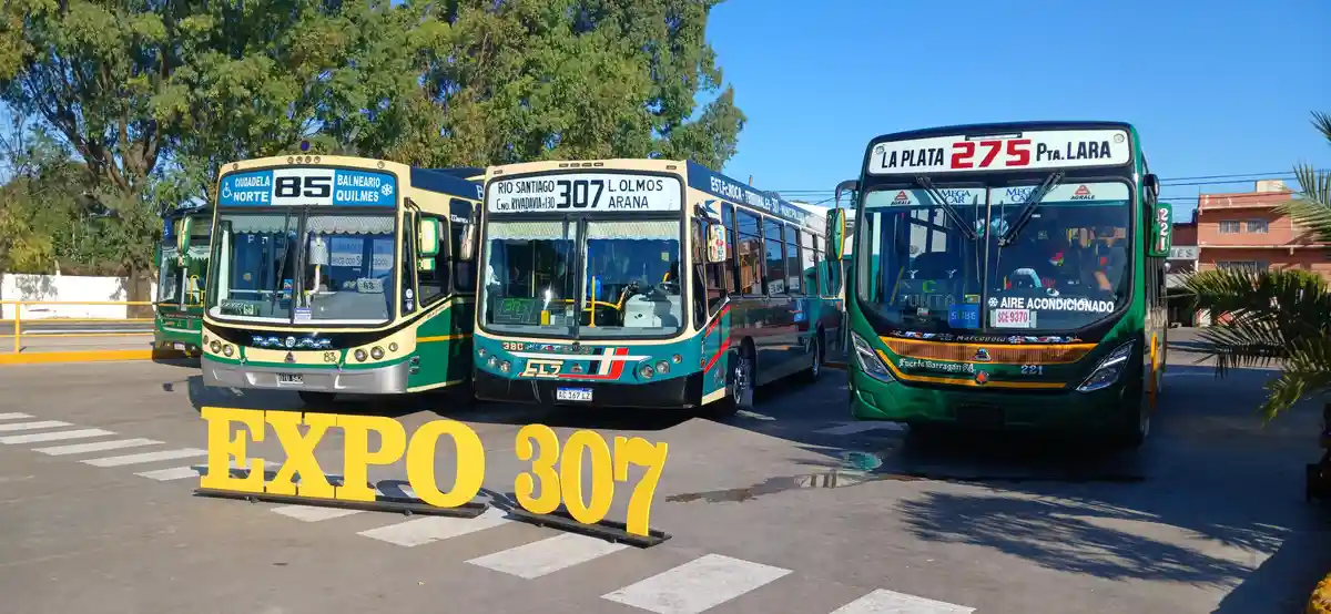 Three green and cream-colored city buses are parked side-by-side in a lot under a clear blue sky, with large yellow cutout…