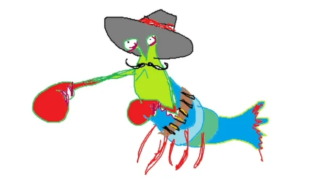 Check Out This Amazing Mantis Shrimp Illustration by My Friend!