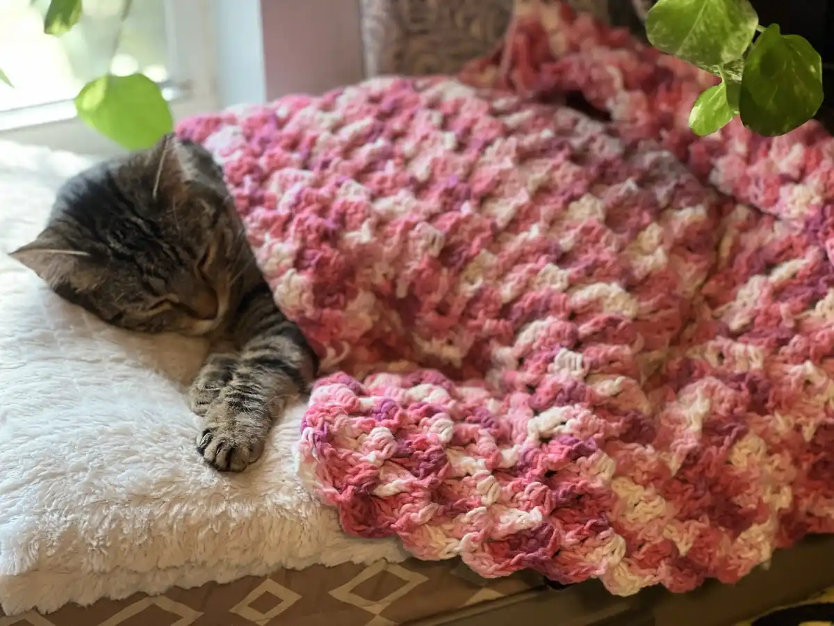 A tabby cat is sleeping peacefully on a fluffy white cushion, partially covered by a chunky, pink-and-white crocheted…