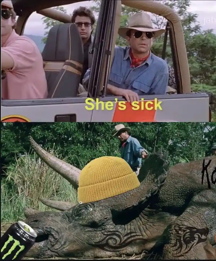 Top panel: three men in a jeep, one in a cowboy hat and sunglasses, with yellow text overlay reading 'She's sick'. Bottom…