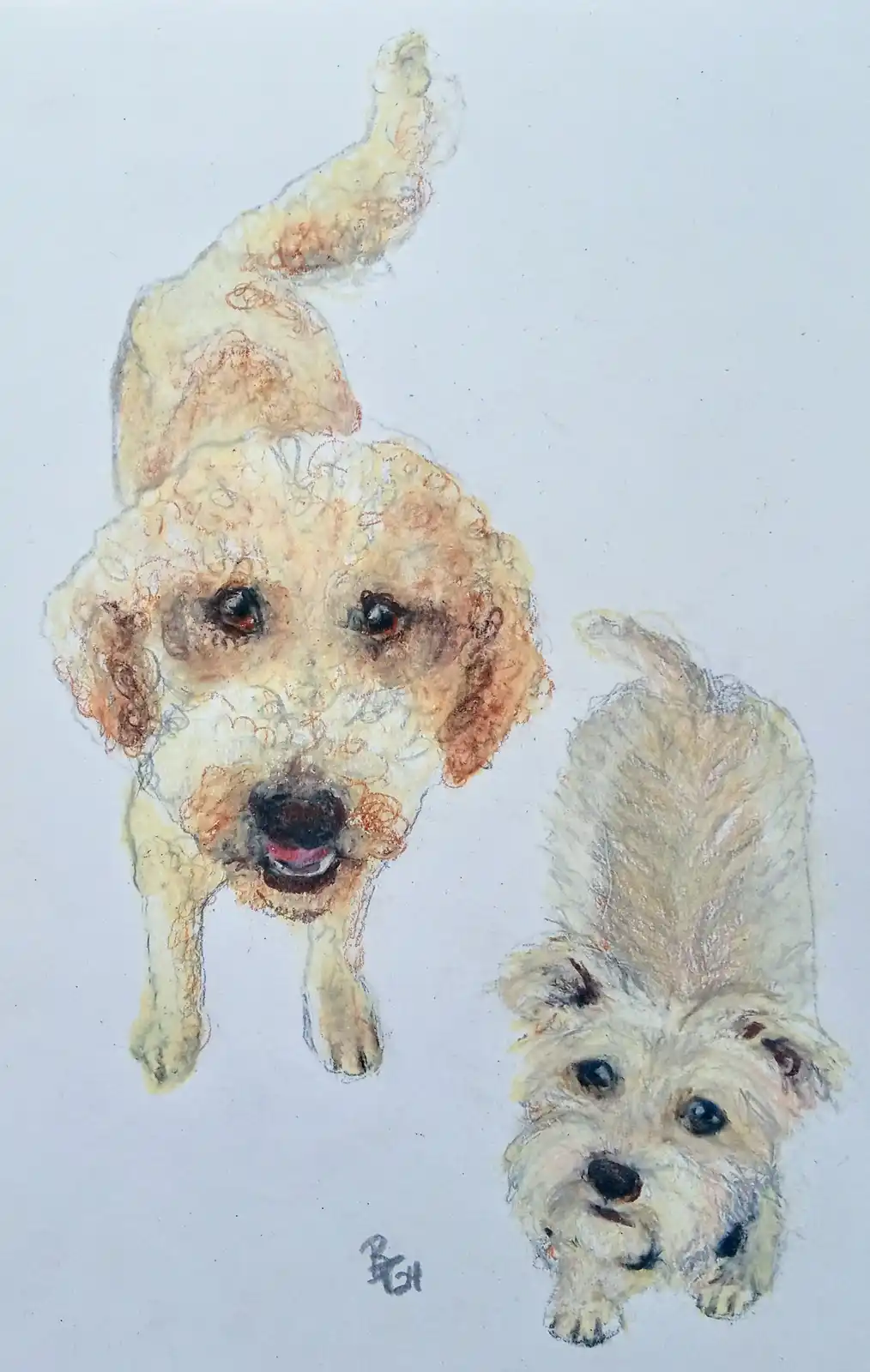 A watercolor-style drawing shows two fluffy, light-colored dogs looking up at the viewer. The larger dog on the left has a…