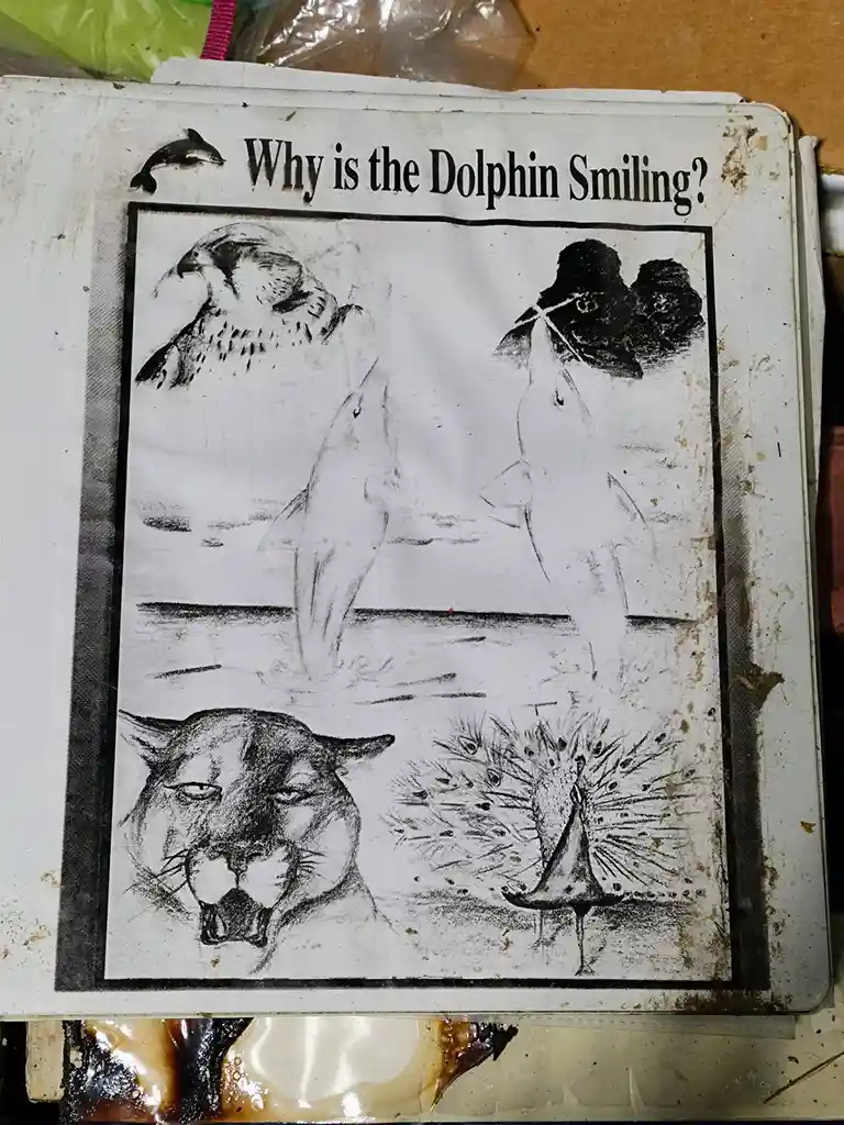 A worn, black-and-white illustrated panel titled 'Why is the Dolphin Smiling?' shows a dolphin leaping from water, flanked…