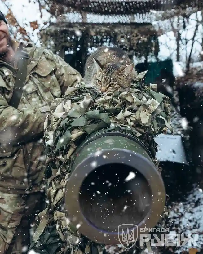 A tabby cat sits atop a camouflaged artillery cannon barrel in a snowy, outdoor military setting, with a soldier in…