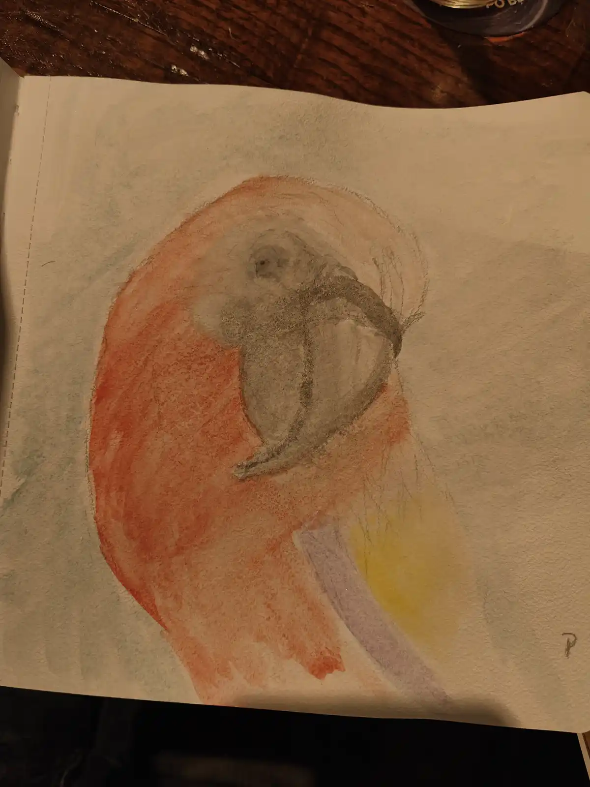 A hand-drawn sketch on textured paper shows a bird with a large orange-red head and yellow and purple body, but the face is…