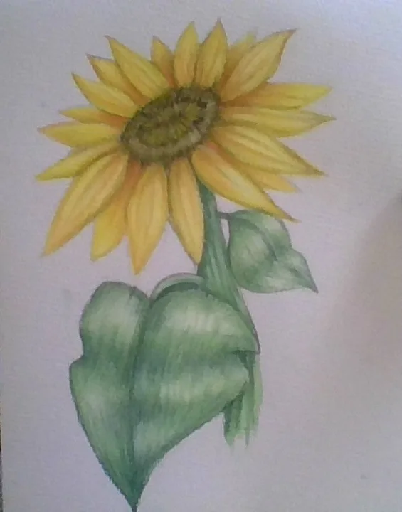 A watercolor painting of a sunflower with bright yellow petals and green leaves on a white background. Overlaid text reads…