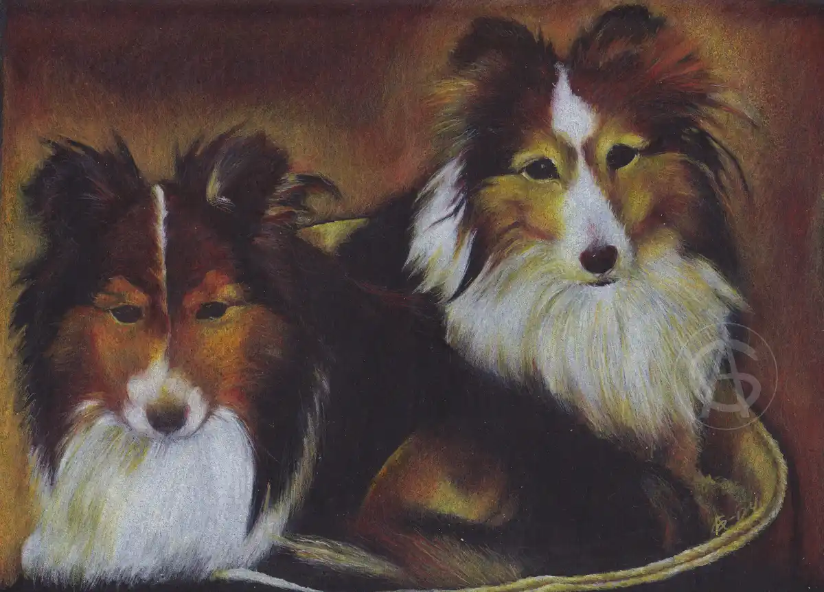 A painting of two sheltie dogs with fluffy fur and expressive eyes, one looking forward and the other slightly turned, set…