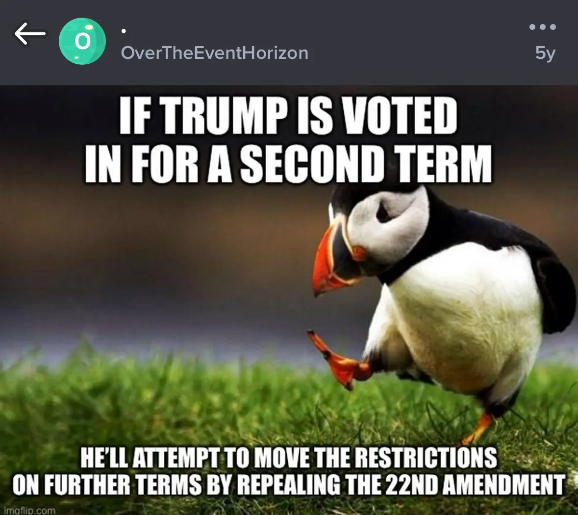 A photograph of a puffin standing on green grass, looking down and kicking one foot up in a confused or skeptical manner…