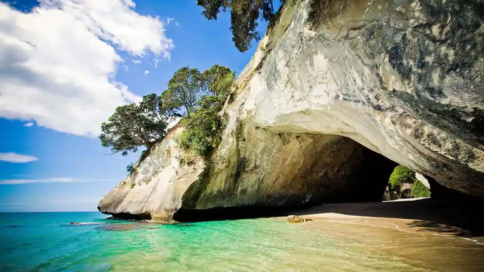 Off Auckland's eastern coast, the Coromandel Peninsula stretches into the Pacific, offering a world of wilderness. Te…