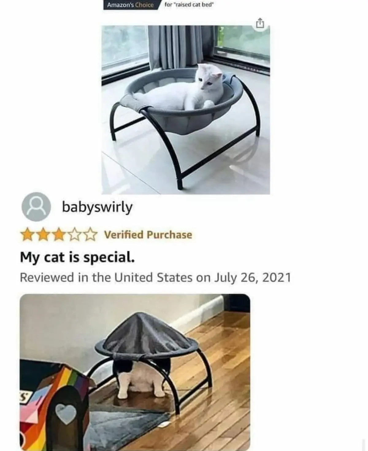 An Amazon product page shows a white cat lounging comfortably in a raised, circular cat bed. Below, a user review from…