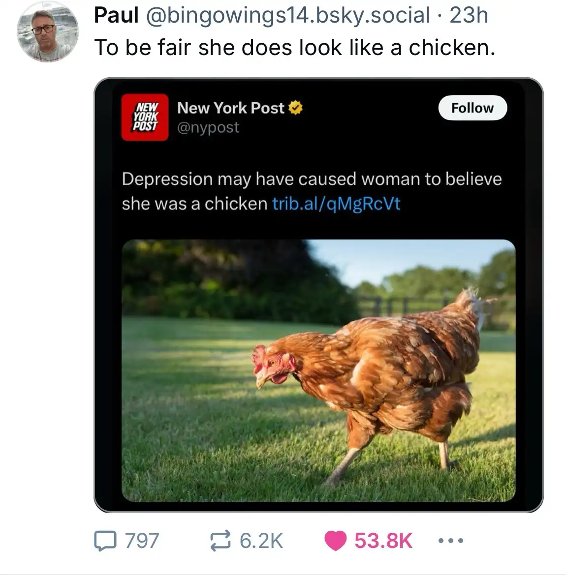 A screenshot of a tweet from the New York Post shows a photo of a brown chicken walking on grass. The tweet's text claims a…