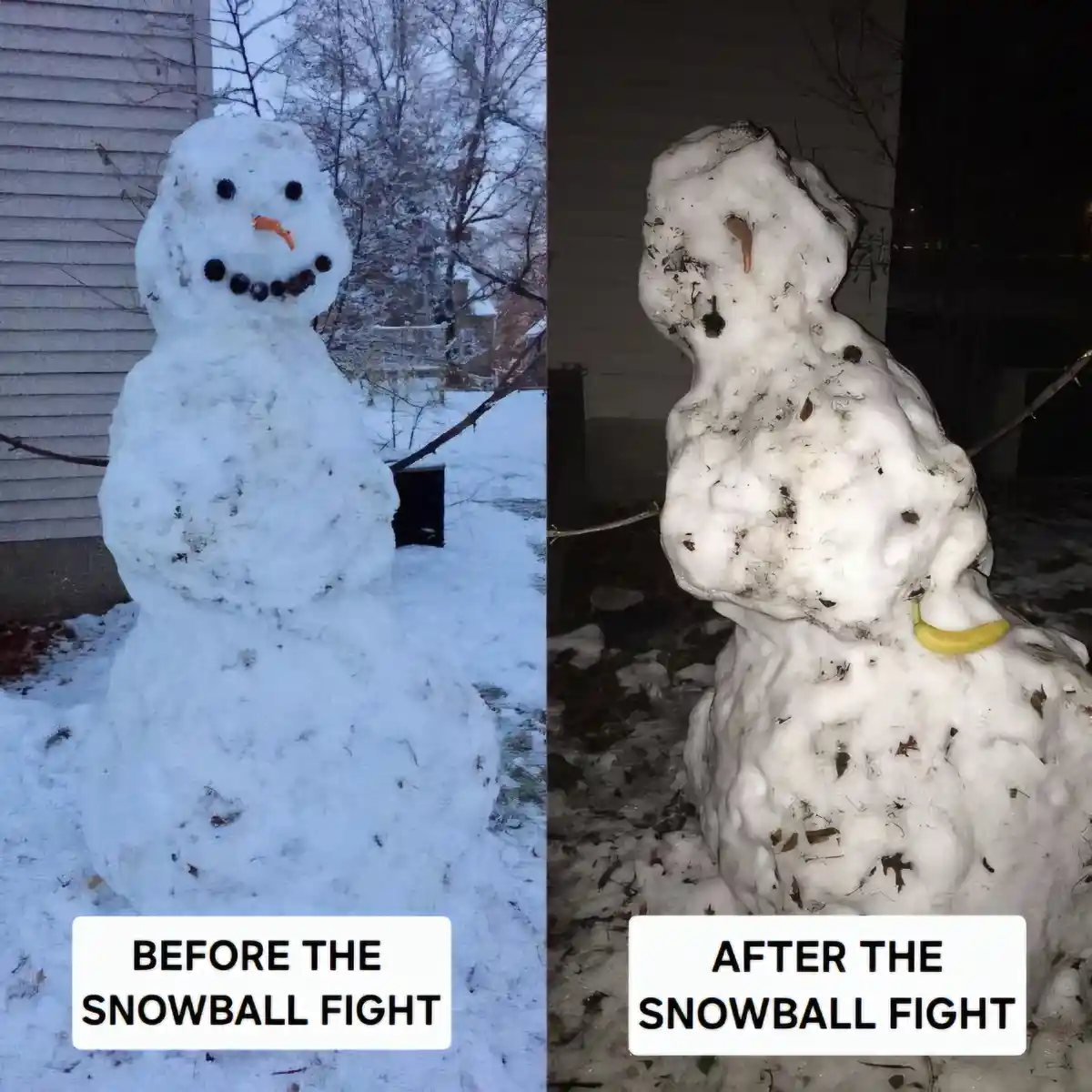 The Casualties of Our Epic Snowball Battle