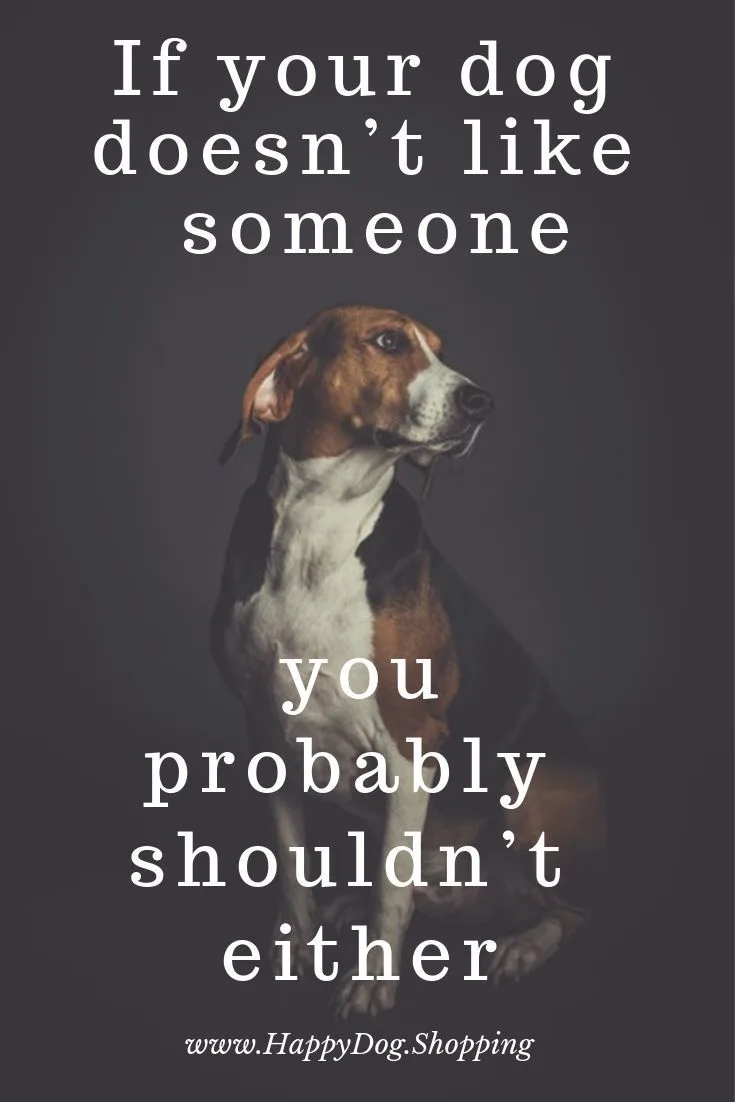 Adorable Doggo Memes to Brighten Your Day