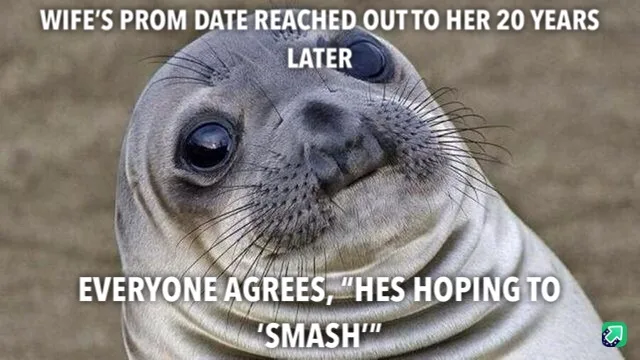 A close-up image of a seal with large, expressive eyes and a slightly smug or knowing expression. The text overlaid on the…