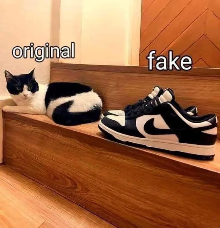 A black and white cat lounging on a wooden step is labeled 'original' while a pair of black and white Nike Dunk sneakers…