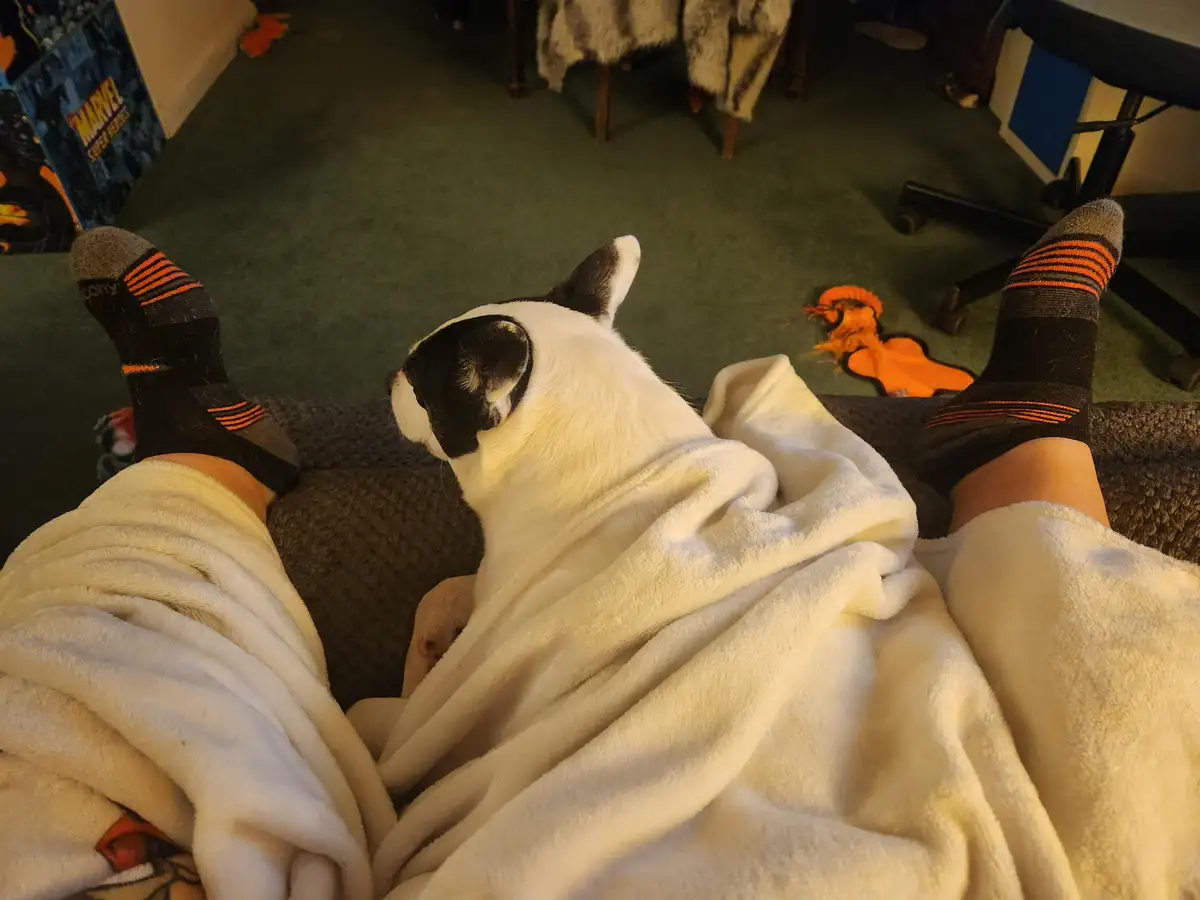 A person wearing black and orange striped socks is lounging on a couch, covered by a white blanket, with a black-and-white…