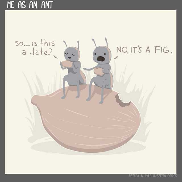 Two cartoon ants sit on a large, brown, fig-shaped object in a grassy area. The ant on the left asks, 'so... is this a…