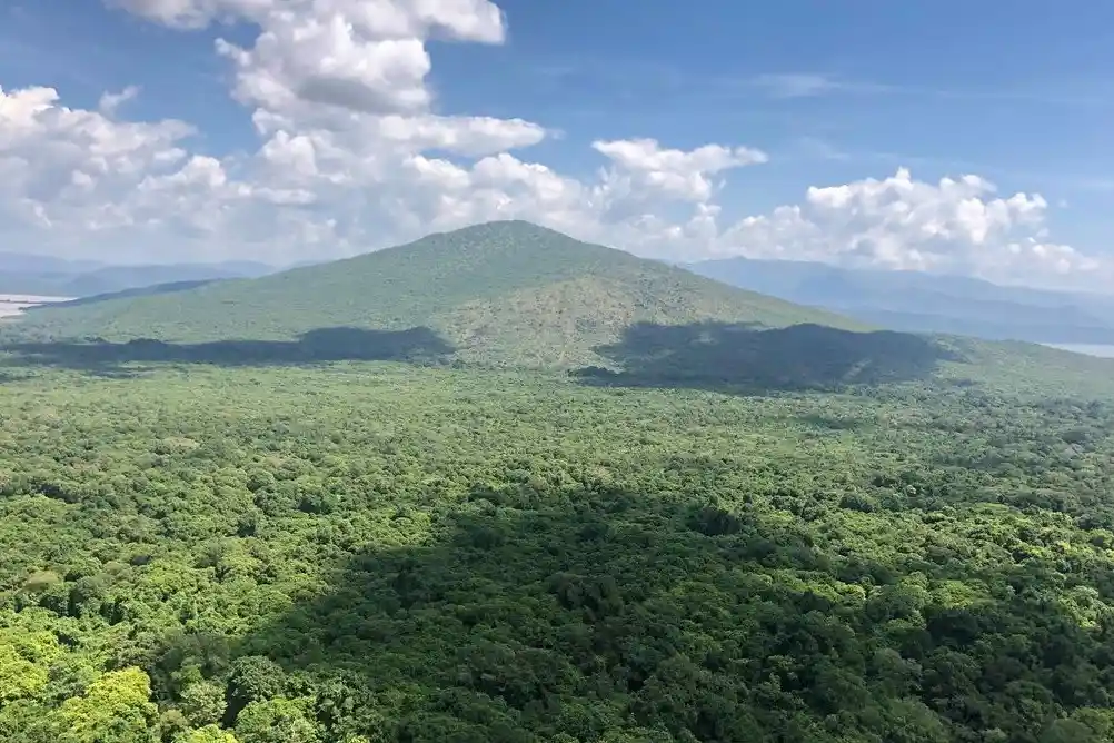 A wide aerial photo shows a lush green forest stretching toward a large, rounded mountain under a bright blue sky with…