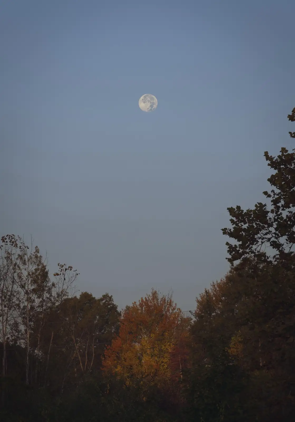 A serene photo of a full moon hanging in a dusky blue sky above a treeline with autumn-colored foliage. The overlaid text…