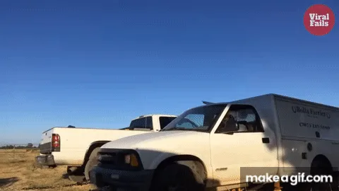 A Collection of Silent but Deadly GIFs