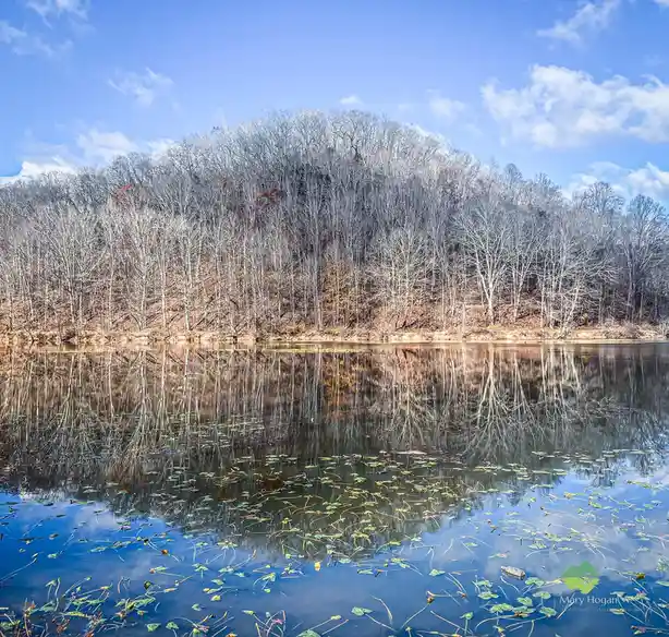 A serene landscape photo shows a calm lake reflecting a hillside of bare trees under a blue sky with scattered clouds. The…