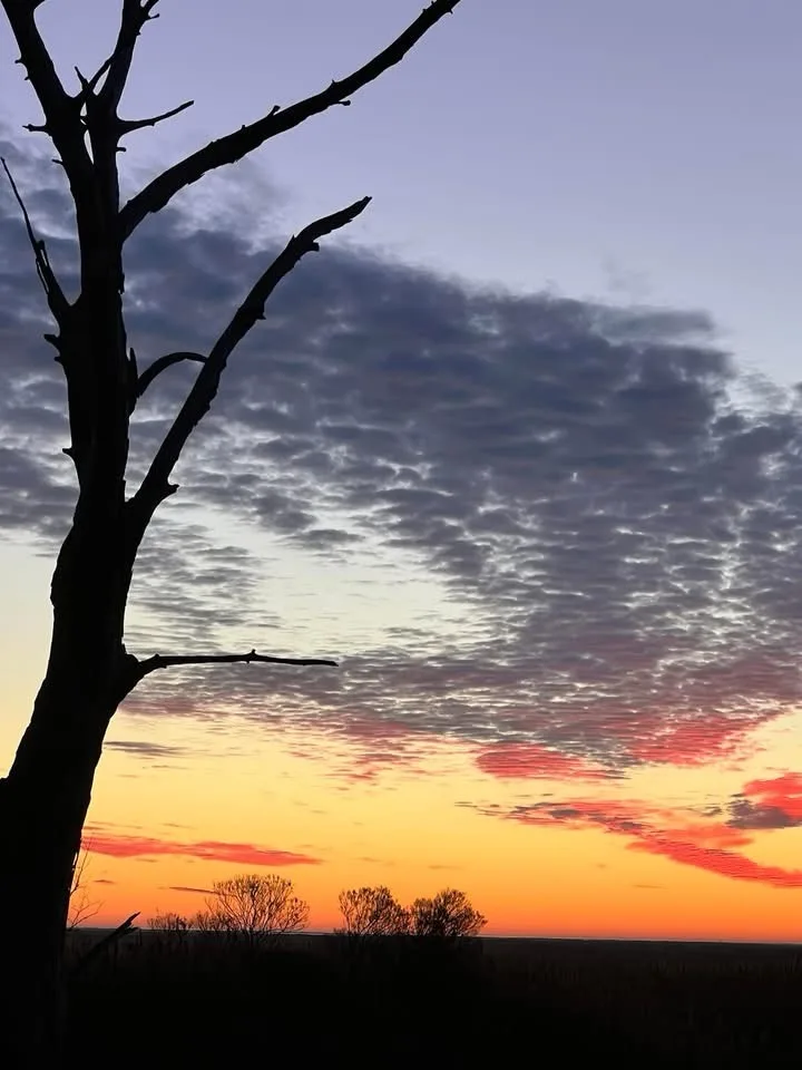 Breathtaking Sunrise Moments