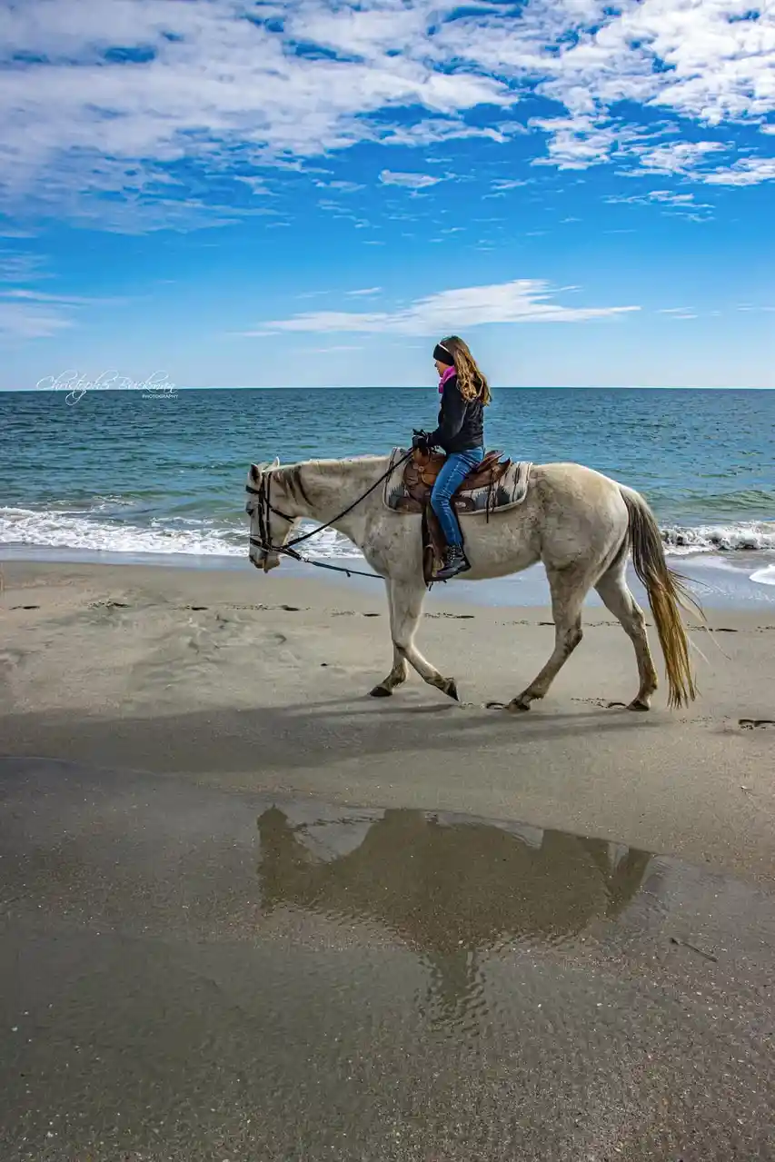 A person with long hair wearing a black jacket, blue jeans, and a pink scarf rides a white horse along a wet sandy beach…