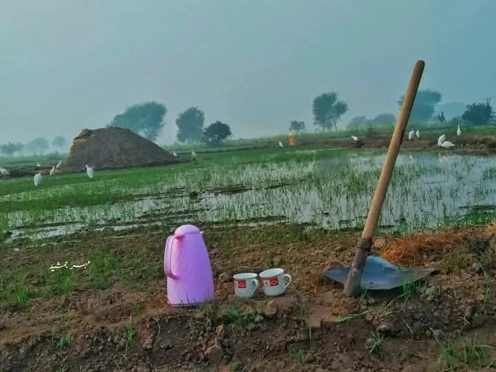A rural field scene with a purple thermos, two white mugs, and a shovel stuck in muddy ground in the foreground. In the…