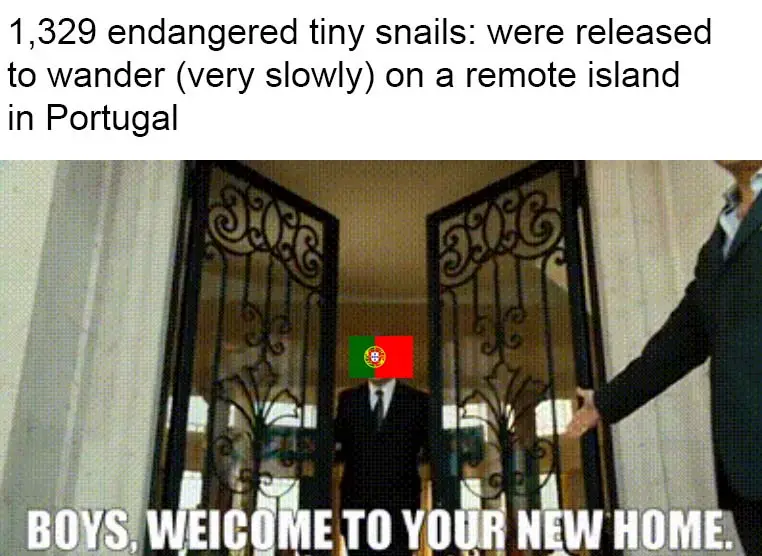 A man in a suit stands in ornate double doors, his head replaced by the Portuguese flag. Text above reads '1,329 endangered…
