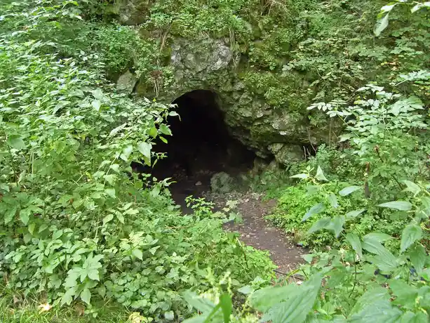 A dark, arched stone tunnel entrance is surrounded by dense green foliage and wild plants. The tunnel is partially obscured…