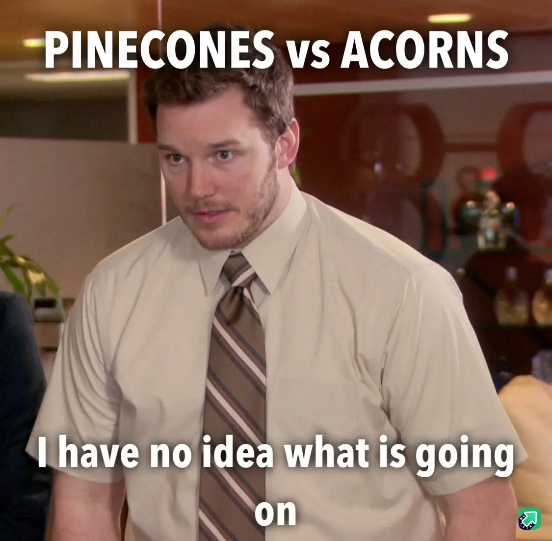 A man in a beige shirt and striped tie looks confused, with text overlaid at the top reading 'PINECONES vs ACORNS' and at…