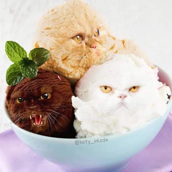 A light blue bowl holds three scoops of ice cream shaped like cats: a brown chocolate cat with bared teeth, a beige cat with…