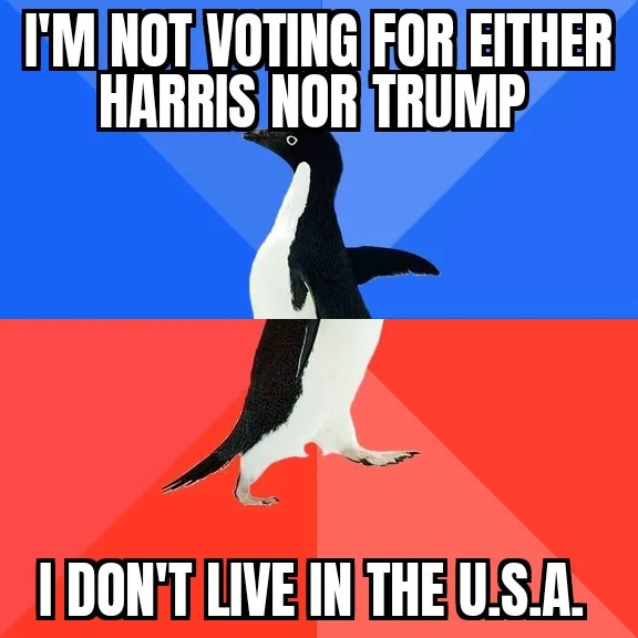 A penguin stands centered against a split background of blue and red diagonal sections. The top text reads 'I'M NOT VOTING…