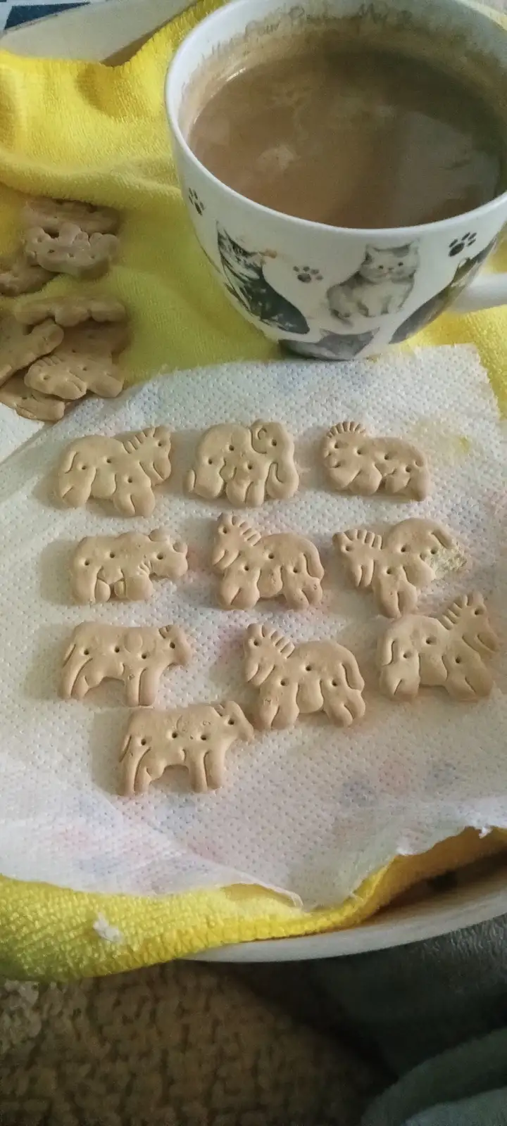 Delicious Animal Cookies to Brighten Your Day!