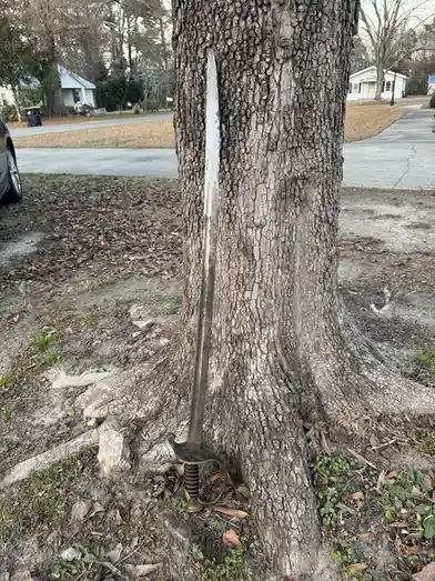 Discovering a Vintage Sword in Mobile, Alabama - 1850s Thrift Find