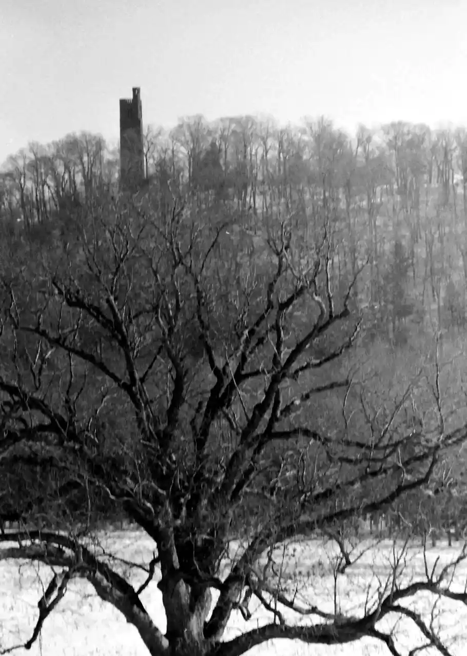 A black-and-white photograph shows a large, leafless tree in the foreground with snow on the ground, and a tall, dark tower…