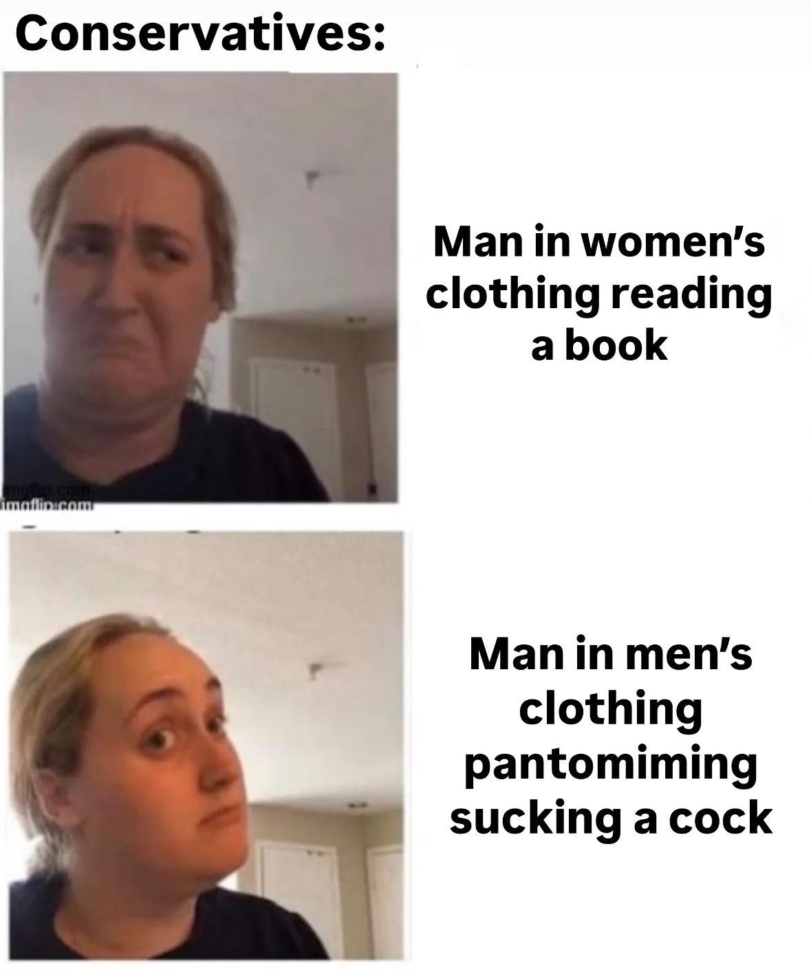 The image shows a woman with a disgusted, skeptical expression in the top panel, labeled 'Conservatives:' and paired with…