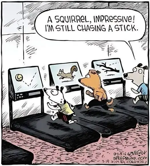 Three anthropomorphic dogs are running on treadmills in a gym, each with a screen showing their target: a squirrel, a stick…