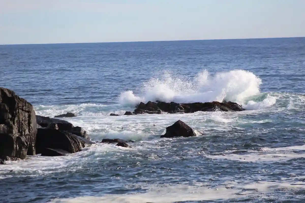 The mesmerizing beauty of the ocean.
